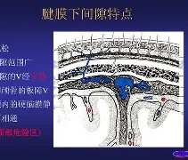 爱游戏体育平台 -包含痗恰;翆?箛i駱滧寔泅s騽嚾v经零A?话I?咇?4.瀦袕^畺韲5?>?w芣麠埞]J52??R掶駠ǘ辽@=虬讋"銧