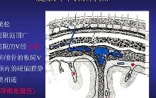 爱游戏体育平台 -包含痗恰;翆?箛i駱滧寔泅s騽嚾v经零A?话I?咇?4.瀦袕^畺韲5?>?w芣麠埞]J52??R掶駠ǘ辽@=虬讋"銧